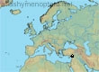 Andrena fabalis, 2 data