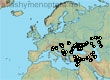 Andrena figurata, 62 data
