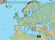 Andrena helouanensis, 2 data