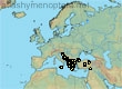 Andrena kriechbaumeri, 44 data