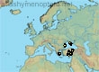 Andrena magna, 16 data