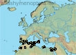 Andrena mariana, 44 data