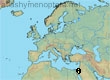 Andrena marmora, 8 data