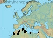 Andrena microcardia, 16 data