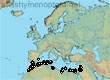 Andrena minapalumboi, 55 data