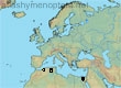 Andrena minima, 3 data