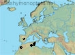 Andrena montarca, 5 data