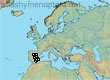 Andrena nebularia, 10 data
