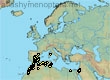 Andrena pruinosa, 56 data