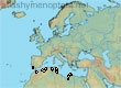 Andrena purpurascens, 15 data
