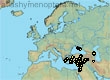Andrena pyropygia, 41 data