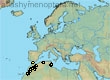 Andrena rhypara, 9 data