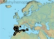 Andrena rhyssonota, 62 data