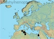 Andrena selena, 9 data
