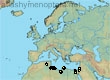 Andrena speciosa, 12 data