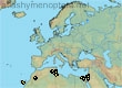 Andrena spolata, 13 data