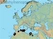 Andrena testaceipes, 16 data