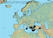 Andrena tomora, 14 data