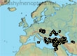 Andrena transitoria, 107 data