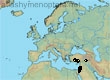 Andrena ulula, 8 data
