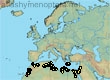 Andrena vachali, 48 data