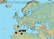 Andrena vaulogeri, 7 data
