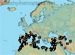 Andrena vetula, 159 data