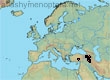 Andrena warnckei, 10 data
