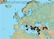 Andrena wilhelmi, 66 data