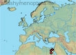 Melecta fumipennis, 8 data