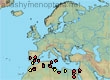 Melecta grandis, 36 data