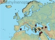 Melecta guichardi, 18 data