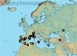Thyreus hirtus, 238 data