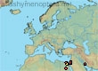 Thyreus hyalinatus, 21 data