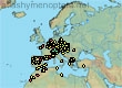 Thyreus orbatus, 494 data
