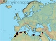 Thyreus tricuspis, 30 data