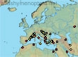 Thyreus truncatus, 156 data