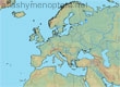 Amegilla farinosa, 99999 data