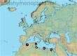 Habropoda oraniensis, 13 data