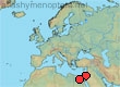 Melecta sinaitica