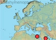 Thyreus parthenope
