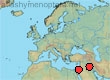 Thyreus ramosellus