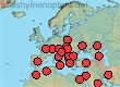 Thyreus truncatus