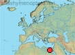 Amegilla nubica