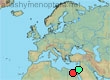 Anthophora arabica