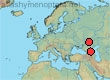 Thyreus aberrans
