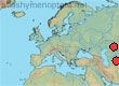 Thyreus picicornis
