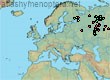 Bombus (Bombus) patagiatus (39 specimens)