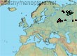 Bombus (Pyrobombus) modestus (63 specimens)