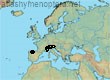 Bombus (Thoracobombus) inexspectatus (275 specimens)